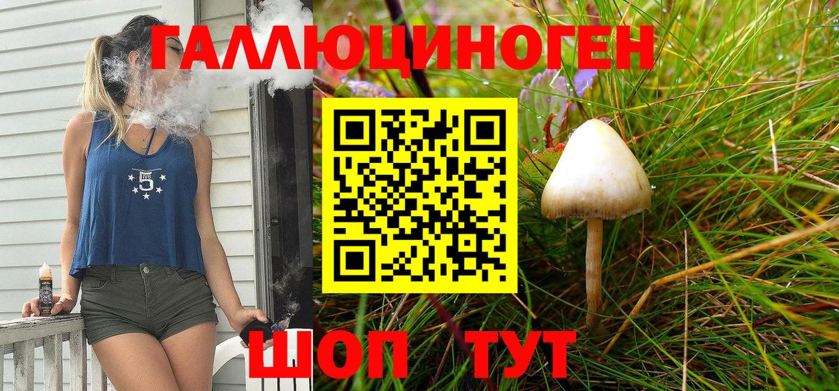 Псилоцибиновые грибы Psilocybe Тайшет